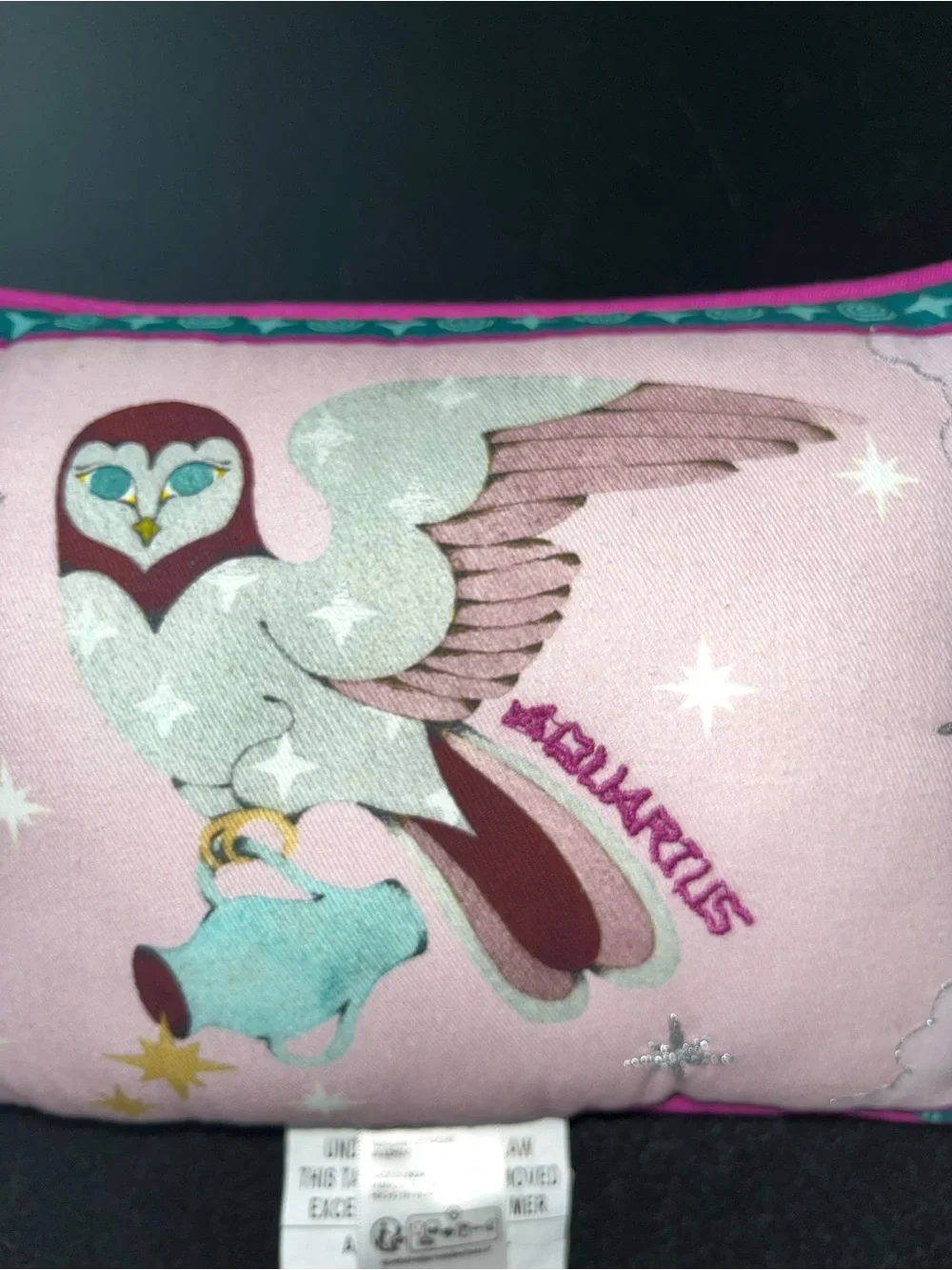 Lou Benesch X Anthropologie Miniature Stargazer embroidered pillow